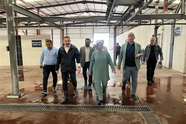 Selahaddin Eyyubi Mahallesi’nde kurulan 38 dönümlük kurban satış ve kesim