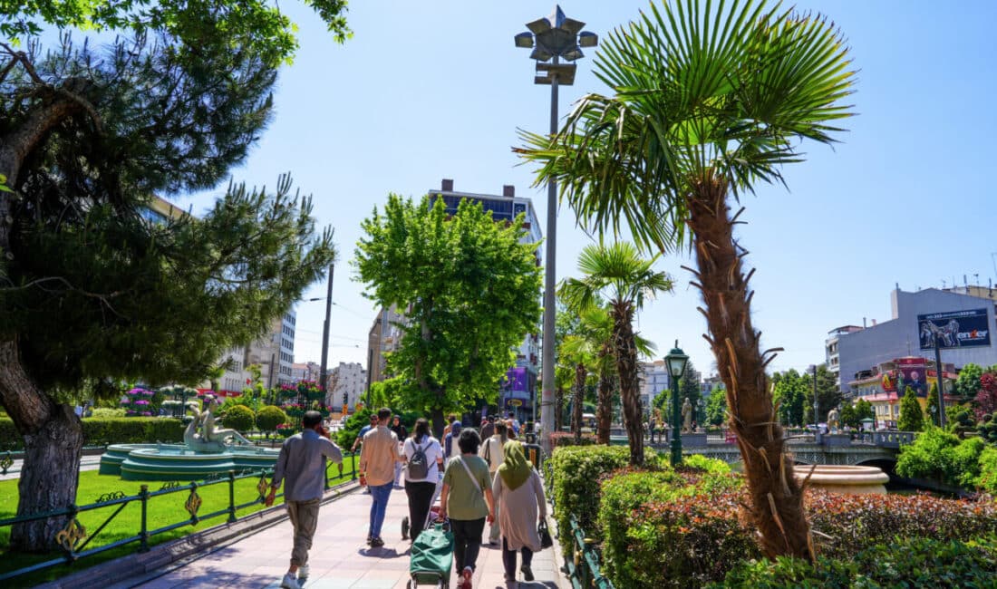 İç Anadolu'nun sert kış koşullarına dayanamayan palmiyeler ve zakkumlar, Kasım