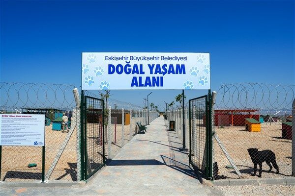 Toplam 67 dönüm arazi üzerine kurulacak Hayvan Bakımevi ve Doğal