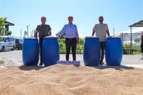 Gazipaşa Belediyesi Tarımsal Hizmetler Müdürlüğü ekiplerinin özverili çalışmalarıyla 2021 yılından