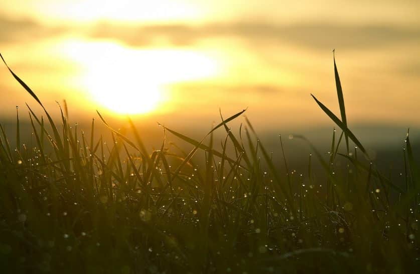 Meteoroloji Genel Müdürlüğü, önümüzdeki günlerde hava sıcaklıklarının Türkiye genelinde mevsim