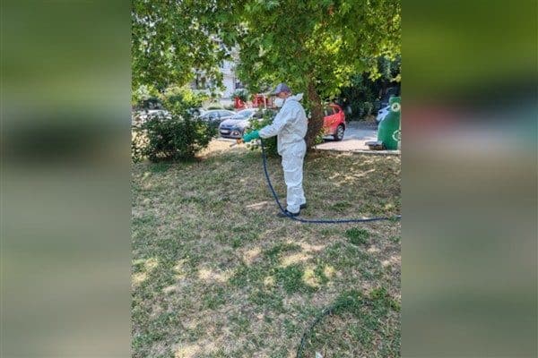 İBB Sağlık İşleri Dairesi Başkanlığı Vektörlerle Mücadele Birimi, İstanbul genelinde
