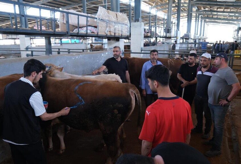 Bu yılki Kurban Bayramı’nda pazarda satış başarısı elde edildi. İnegöl