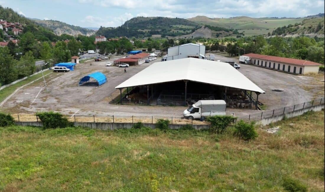 Kurbanlık satışları, Yenice yolu üzeri, Melise Köyü karşısında bulunan mezbaha
