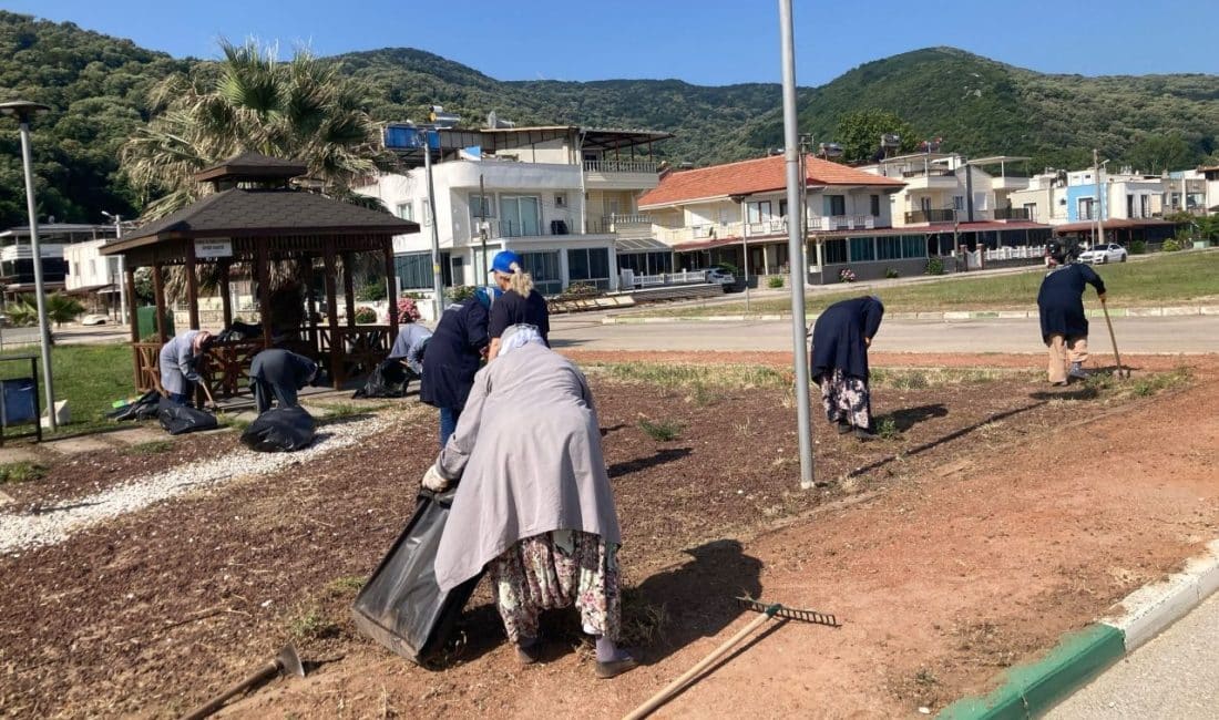 Karacabey Belediyesi, yaz sezonunun gelmesiyle birlikte ilçede kapsamlı bir temizlik