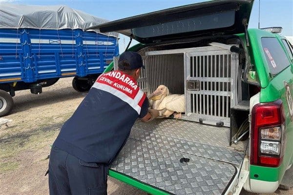 Karaman İl Jandarma Komutanlığı Asayiş Şube Müdürlüğü Çevre, Doğa ve