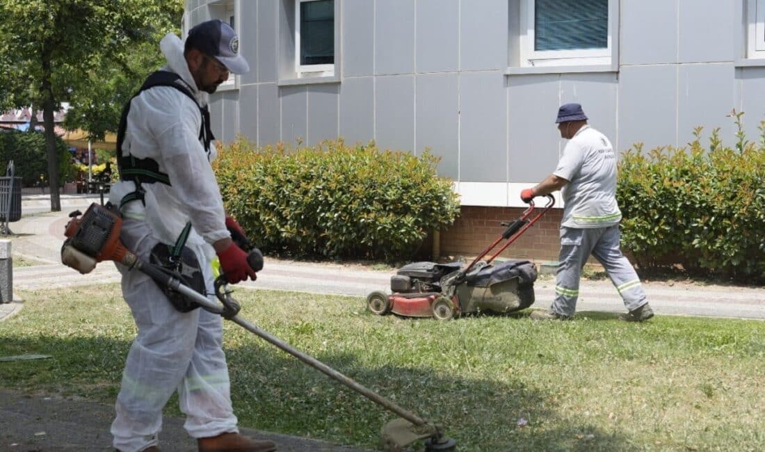 Kartal Belediyesi, yaz mevsiminin gelmesiyle birlikte ilçe genelindeki park ve