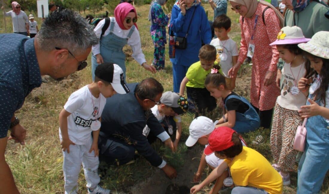 Büyükşehir Belediyesi Park Bahçeler ve Ağaçlandırma Daire Başkanlığı’nın koordinesinde Kocasinan