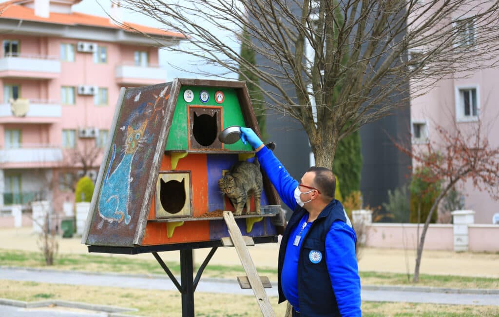 Türkiye genelinde 3, Muğla’da ilk olma özelliği taşıyan Kedi-Köpek Maması