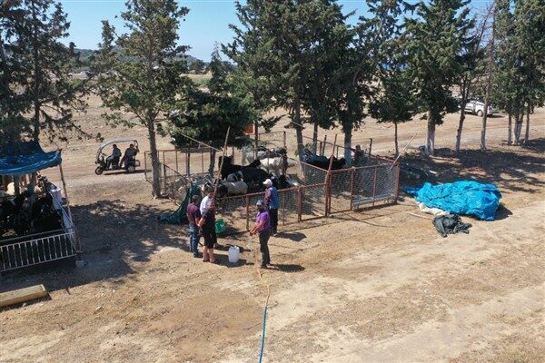 Gazipaşa’da kurban satışı tek noktada Koru Fidanlık Bölgesinde yapılırken, kurban