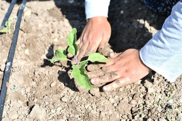 Mamak Belediyesi, kırsal kalkınma çalışmaları kapsamında Gökçeyurt Mahallesi’nde yer alan