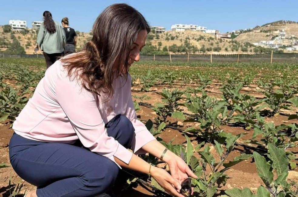 Kadınların emekle ektiği fideler, yaz mevsiminin gelişiyle birlikte meyve vermeye
