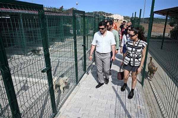 Mersin Büyükşehir Belediyesi Veteriner Hizmetleri Dairesi Başkanlığı’nın, sokak hayvanlarının yaşam