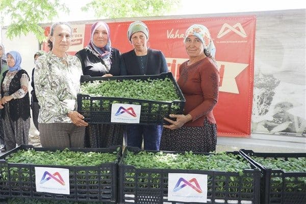Yüzde 50 hibe desteği ile sağlanan dağıtım kapsamında, yalnızca Gülnar