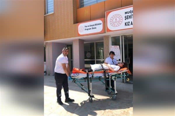 Çalışmalar kapsamında Fethiye ilçesinde yaşayan ve yaklaşık iki ay önce