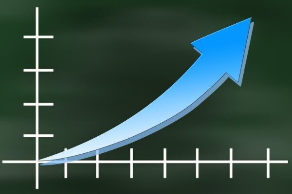 Kamuyu Aydınlatma Platformuna (KAP) yapılan açıklamada, ''02.06.2025 tarihinde Net Holding