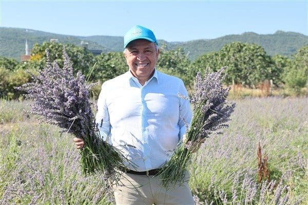 Fadıllı ve Karacaoba mahallelerinde toplam 40 dönümlük alanda toprakla buluşturulan