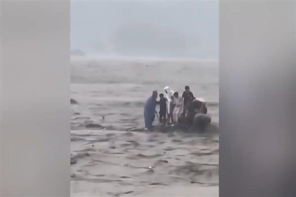 En çok etkilenen bölge, 10'u çocuk olmak üzere 21 kişinin