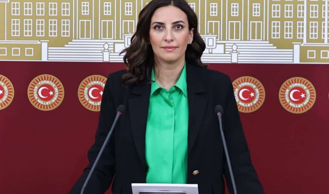 DEVA Partisi Genel Başkan Yardımcısı ve İstanbul Milletvekili Rızvanoğlu, 5