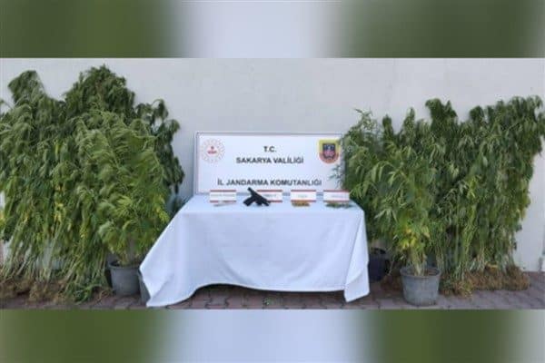 Sakarya İl Jandarma Komutanlığı ekipleri, Geyve İlçesinde uyuşturucu ile mücadele