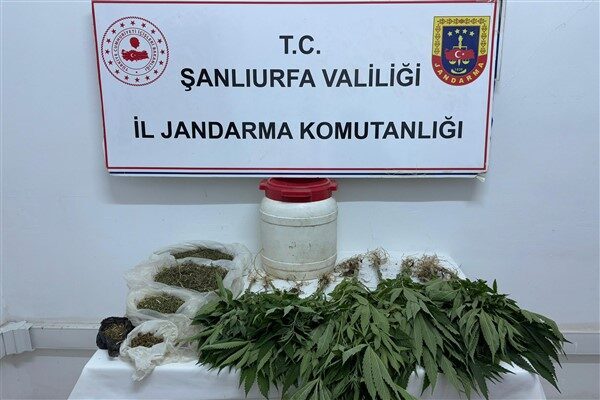 Şanlıurfa İl Jandarma Komutanlığınca yürütülen “Narkotik Suçlarla Mücadele” çalışmaları kapsamında,