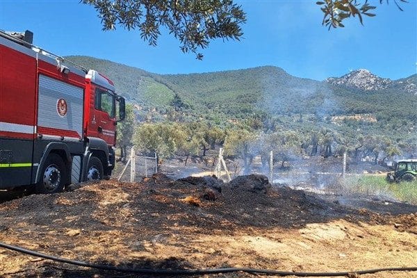 İzmir Büyükşehir Belediyesi İtfaiye Dairesi Başkanlığı ekipleri ile İzmir Orman