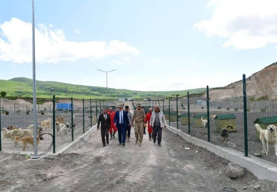 Ardahan Valiliği tarafından yapılan açıklamaya göre, Vali Hayrettin Çiçek, sahipsiz