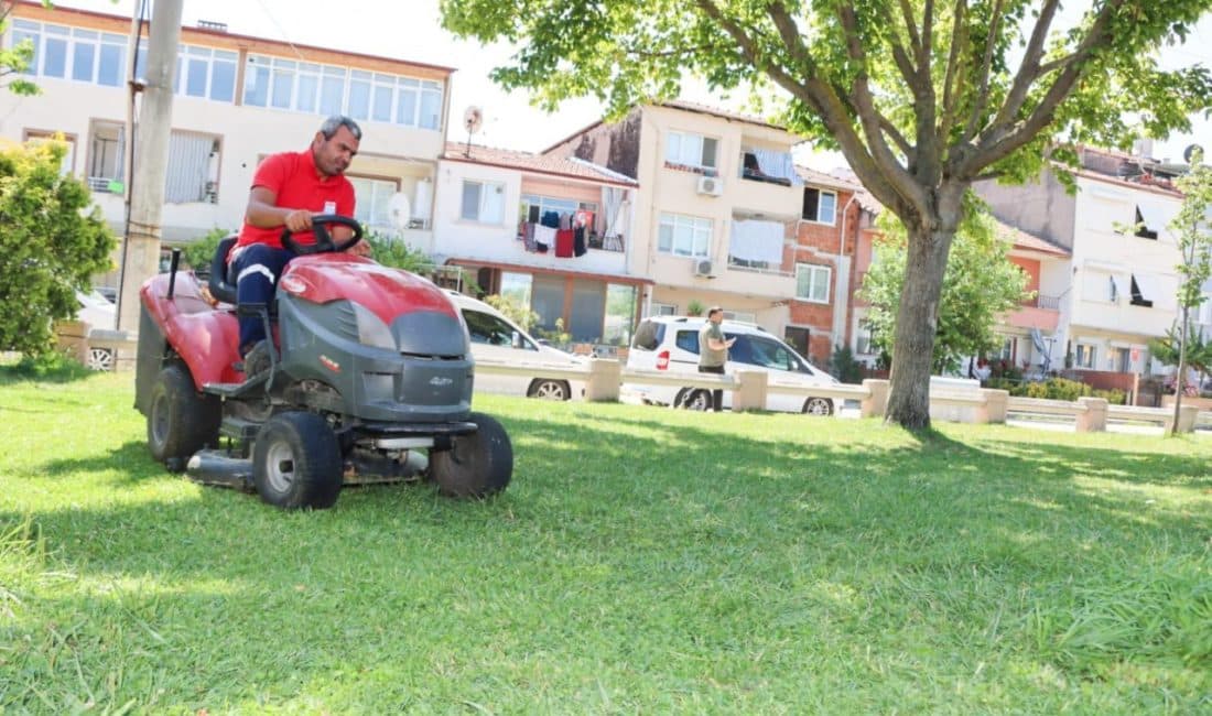 Yaz aylarının gelmesiyle birlikte artan ot büyümesi nedeniyle parklarda düzenli