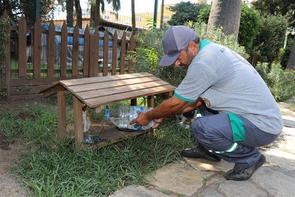 Park ve Bahçeler Müdürlüğü ekipleri sıcak yaz günlerinde sokak hayvanlarının