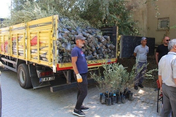 Antalya Büyükşehir Belediyesi Tarımsal Hizmetler Dairesi Başkanlığı tarafından yürütülen fidan