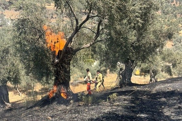 Aydın Büyükşehir Belediyesi İtfaiye Daire Başkanlığı ekipleri, 2 günde 55