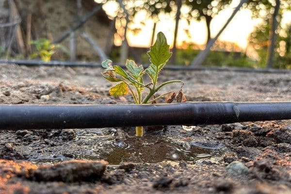 Su tasarrufuna yönelik vatandaşları bilgilendirmek amacıyla farkındalık çalışmalarına imza atan,