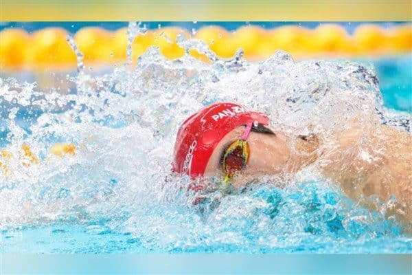 Dünya Su Sporları Federasyonu'nun (FINA) resmi internet sitesinde yer alan