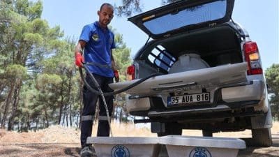 Belediye, Kaynaklar Mahallesi’ndeki Olduruk ve Söğüt mevkilerindeki ormanlık alanlar ve