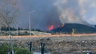Bursa’nın Gürsu ilçesi İpekyolu Mahallesi’ne yakın ağaçlık alanda yangın başladı. Yangının