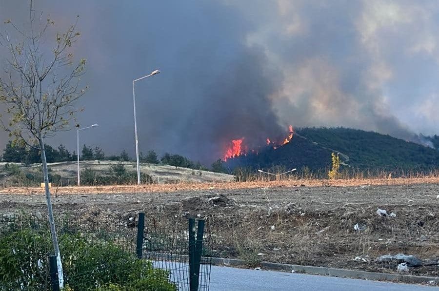 Bursa’nın Gürsu ilçesi İpekyolu Mahallesi’ne yakın ağaçlık alanda yangın başladı. Yangının