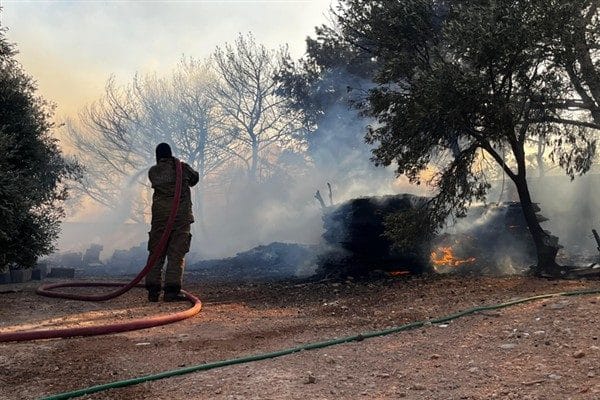 Çeşme ilçesi Ildır Mahallesi’nde saat 14.00’te otluk alanda çıkan ve