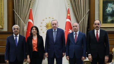 Cumhurbaşkanı Recep Tayyip Erdoğan, Halkların Eşitlik ve Demokrasi Partisi (DEM Parti)