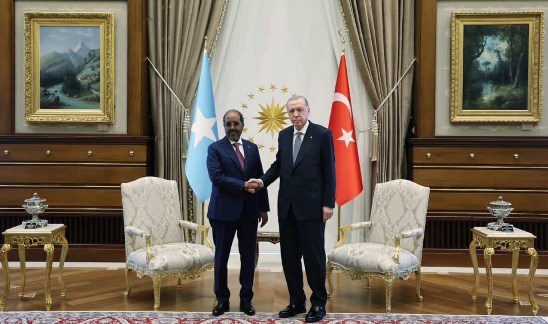 Cumhurbaşkanı Recep Tayyip Erdoğan, Somali Cumhurbaşkanı Hasan Şeyh Mahmud ile
