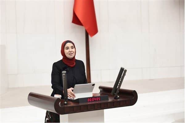 Esen, konuşmasında sadece 6. maddeye değil, ona zemin hazırlayan 5.