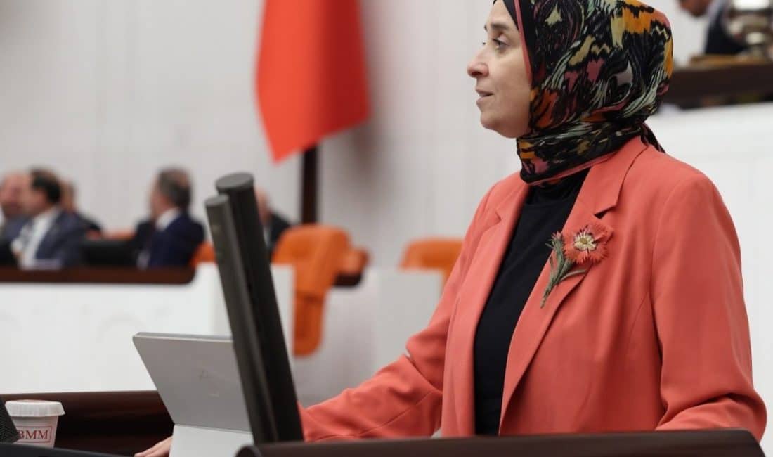 DEVA Partisi Genel Başkan Yardımcısı ve İstanbul Milletvekili Elif Esen,
