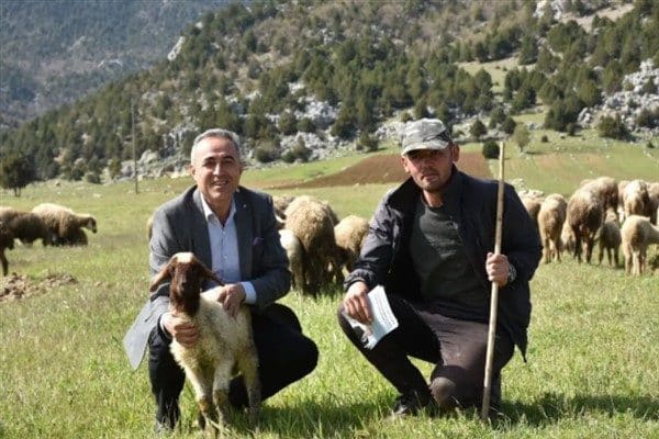 Kahramanmaraş Damızlık Koyun ve Keçi Yetiştiricileri Birliği Başkanı Vakkas Kuzu’nun
