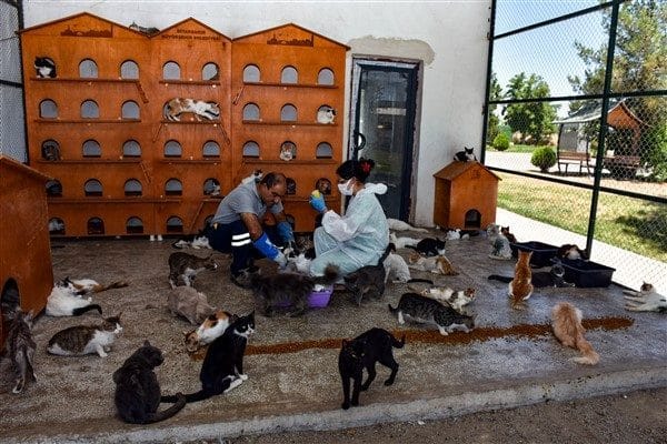 Sağlık İşleri Dairesi Başkanlığı bünyesinde 2009 yılında kurulan ve 17