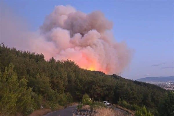 Hatay’ın Dörtyol ilçesine bağlı Kırmızı Burun ve Çökek Yaylası mevkilerinde