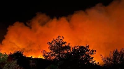 Hatay’ın Dörtyol ilçesinde çıkan orman yangınıyla ilgili söndürme çalışmaları aralıksız