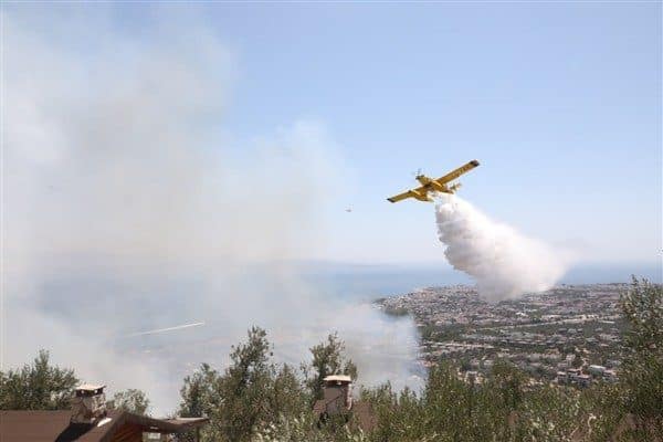 Güre Mahallesi ile Çamlıbel Mahallesi arasında kalan zeytinlik bölgede saat
