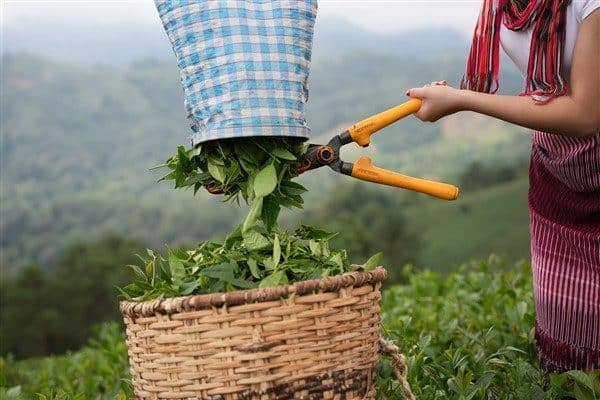 Kamuyu Aydınlatma Platformuna (KAP) yapılan açıklamada, ''Şirketimiz, dijitalleşme ve çok