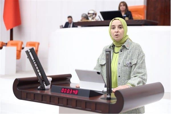 DEVA Partisi Genel Başkan Yardımcısı ve İstanbul Milletvekili Elif Esen,