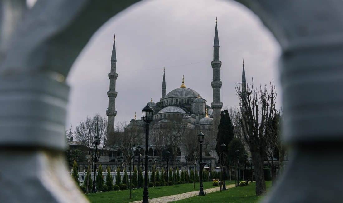 Uludağ Üniversitesi İşletme Bölümü akademisyenlerinden ve Cumhuriyet Halk Partisi'nin (CHP)