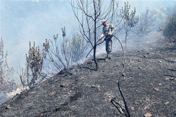 Yangına kısa sürede müdahale edilmesine rağmen, şiddetli rüzgarın etkisiyle alevler